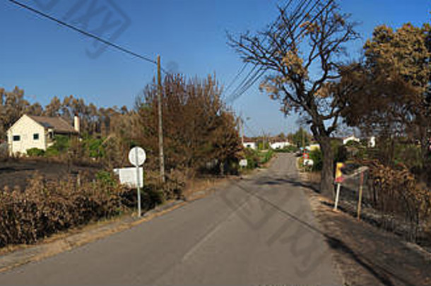 带有烧毁标志的道路穿过Lameira Cimeira和Mo Pequena村庄房屋附近的森林火灾造成的烧毁树木和农作物。佩德罗高大酒店