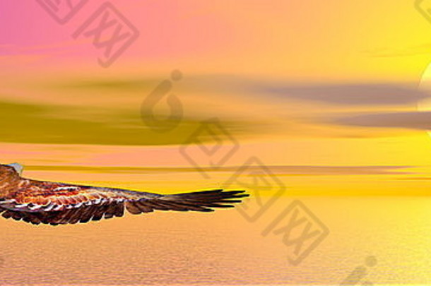 日落时在海洋上飞翔的鹰-3D渲染