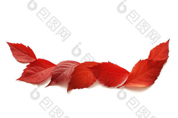 秋天色彩斑斓的叶子isalated白色背景前视图秋天平躺的地方文本