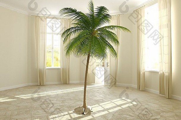 热带植物棕榈树日益增长的房子