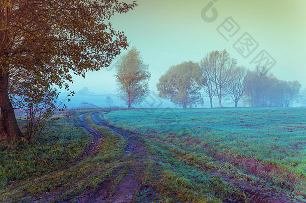 雾场早期早....农村景观污垢路日出