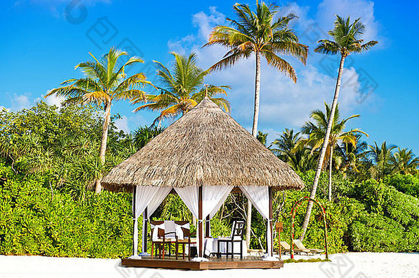 浪漫的热带婚礼地点。美丽的蓝天和棕榈树。天堂岛