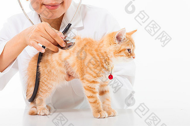 女兽医在诊所为一只可爱的猫做检查