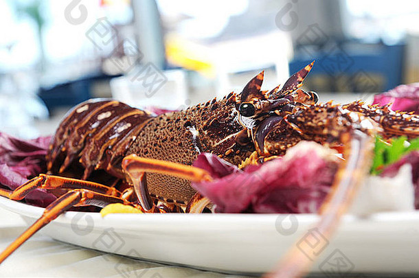 餐厅餐桌上冰上的地中海小龙虾
