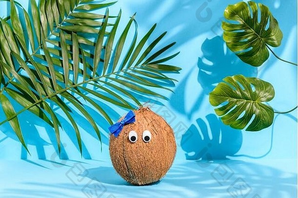 可爱的椰子，眼睛，蝴蝶结，棕榈叶，怪兽叶，蓝色背景。强烈的热带阴影。夏威夷度假和夏季概念