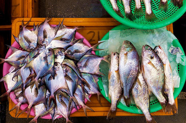 <strong>韩国</strong>釜山fish markey出售的鱼