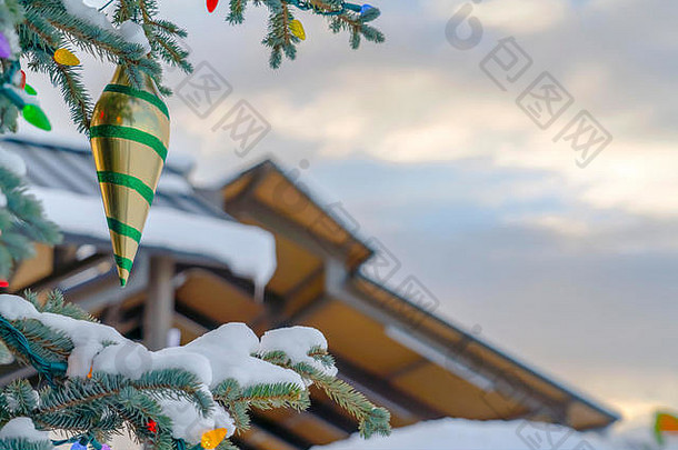 雪树装饰屋顶天空