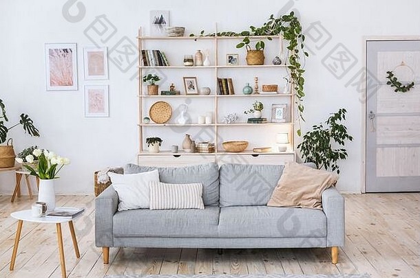 舒适的设计，轻薄的墙壁，木制地板，蓝色沙发和花盆中的植物。