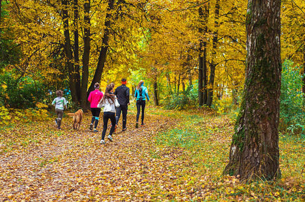 清晨在公园跑步的运动员在跑步。几个孩子在树林里跑步做运动。健康的生活方式。