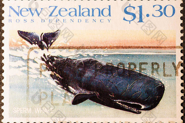 新西兰邮票上的抹香鲸