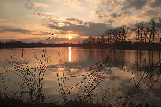 美丽的田园风光——湖面上的夕阳。夕阳照亮的云彩反射在水面上。湖边树木丛生。scrubs