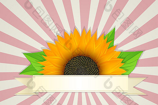 夏天横幅设计图形向日葵