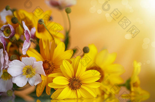 夏天的一束黄色雏菊