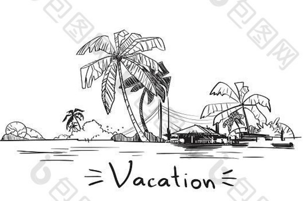 夏天假期假期热带海洋岛棕榈树