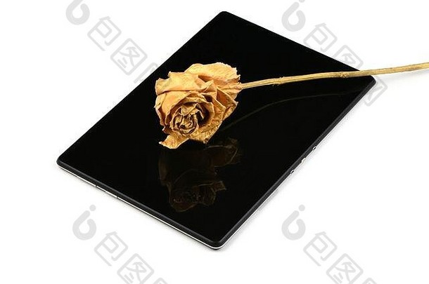 金玫瑰平板电脑孤立的白色背景高决议照片完整的深度场