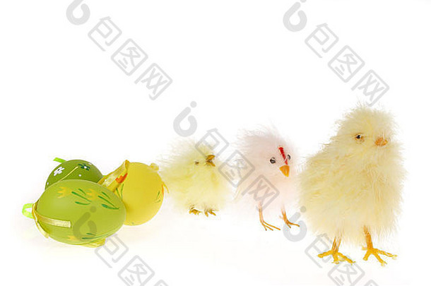 复活节小鸡照片白色背景