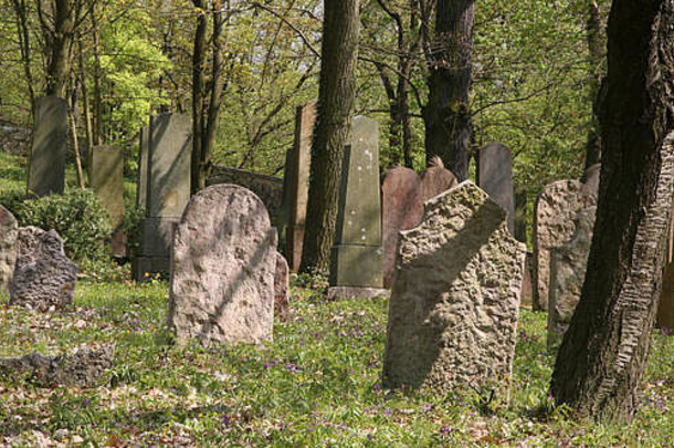 捷克共和国老犹太人公墓