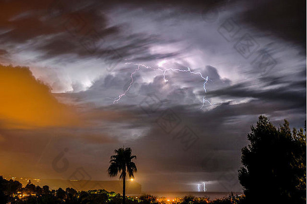 电风暴海棕榈树小镇灯前景