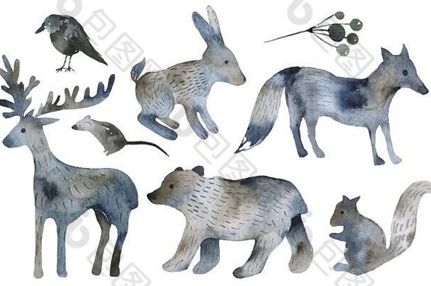 可爱的森林图标斯堪的那维亚水彩符号林地装饰插图森林野生动物集图形