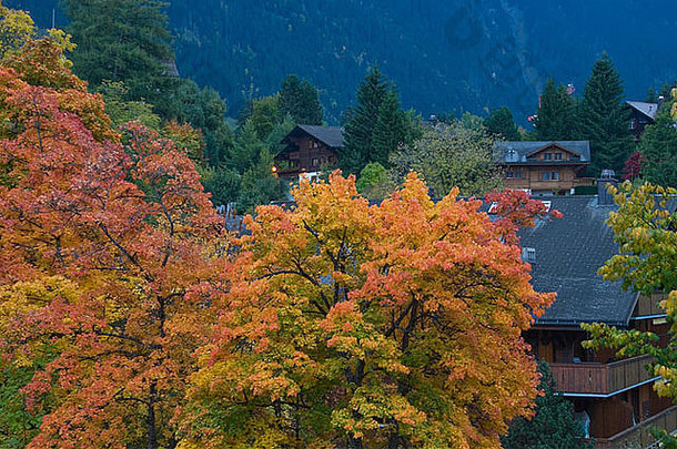 风景优美的视图格施塔德秋天高地瑞士