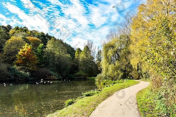 英国约维尔萨默塞特九环国家公园的秋天树木和湖泊