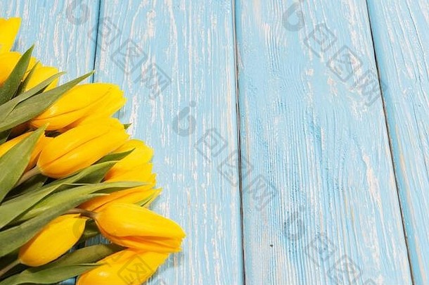 <strong>浅</strong>蓝色木质背景上的黄色郁金香。3月8日，国际<strong>妇女节</strong>。