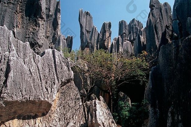 石林石头森林昆明云南中国