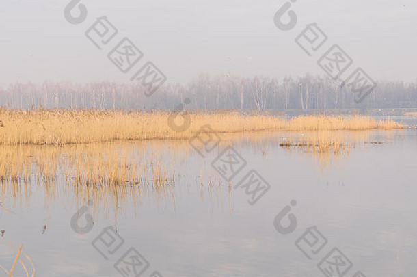 奥维西姆，波兰。自然2000年。2018年3月26<strong>日</strong>。在一个有雾的早晨，湖面上的<strong>日</strong>出伴随着鸟儿。花园和天文春天的第五天。Natura 2000保护区内的大自然焕然一新。信贷：w<strong>124</strong>merc/Alam