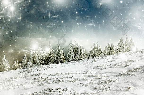 圣诞<strong>背景</strong>是星星、雪松和雪花