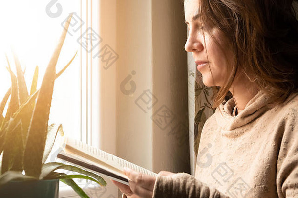肖像成人迷人的浅黑肤色的女人女人穿休闲服装阅读书窗口首页阳光明媚的一天休闲生活方式概念