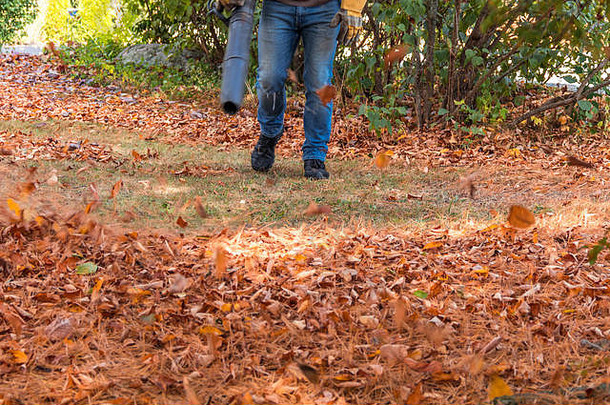 吹叶机在移动住宅草坪上的彩色秋叶和松针，有意进行运动模糊