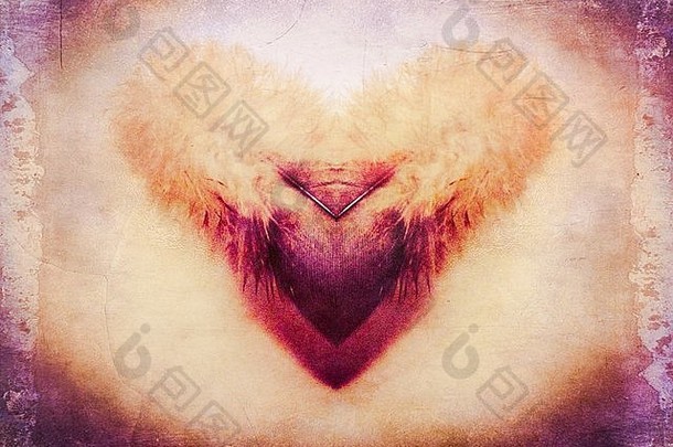 由海鸥羽毛的照片制成的心形抽象形状