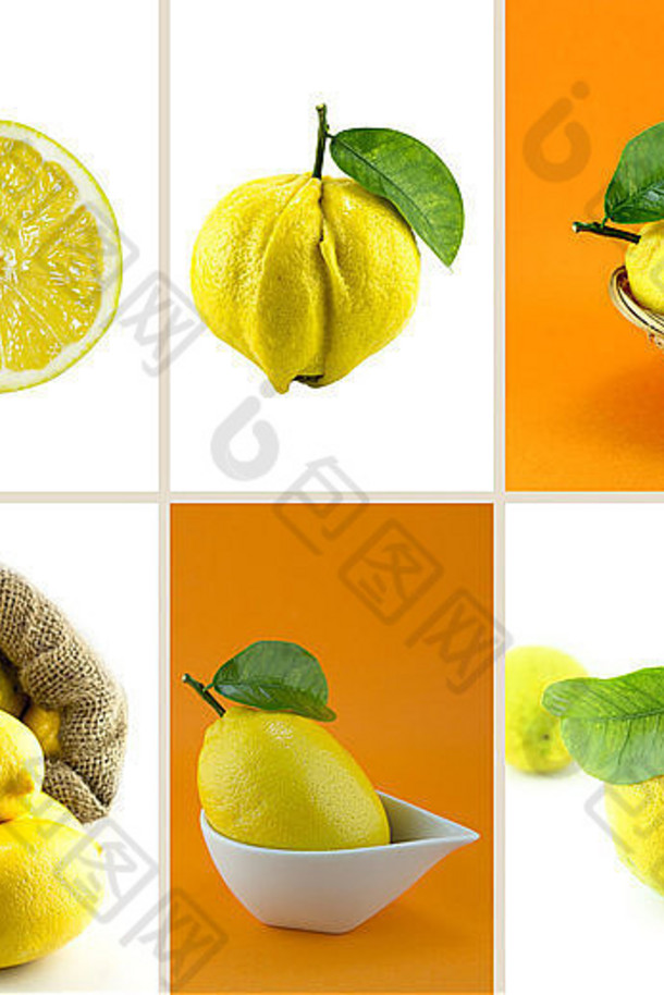 健康的有机食物集新鲜的柠檬