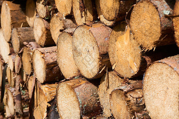 天然木质背景-切碎木柴的特写。堆放和准备过冬的柴火。一堆原木