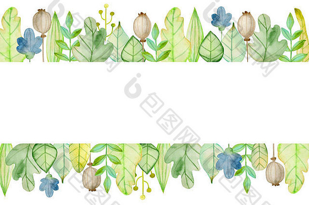 水彩秋季花卉水平背景，花卉和绿叶。手绘插图