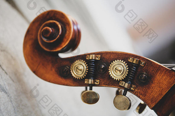 低音提琴的卷轴、挂钩盒、螺母、机头、调谐键和调谐器（主轴箱）的详细信息