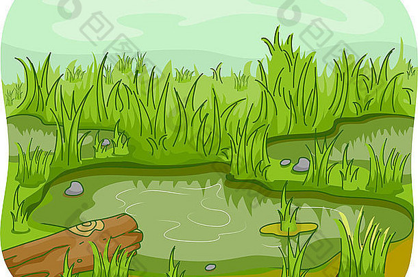湿地插图，周围有圆木和树叶