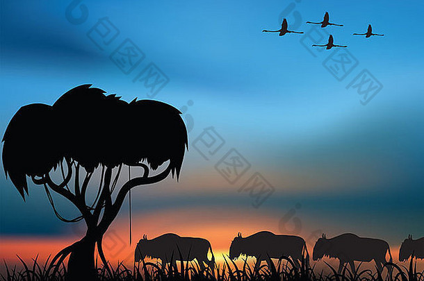 日落时非洲大草原和野生动物的迁徙