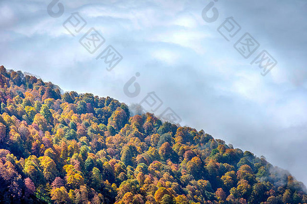 五彩缤纷的秋林从上面穿过云层
