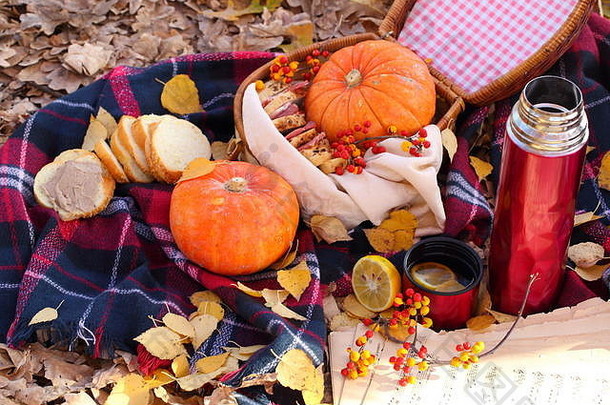 在秋天公园野餐，吃南瓜、茶和熏肉三明治。