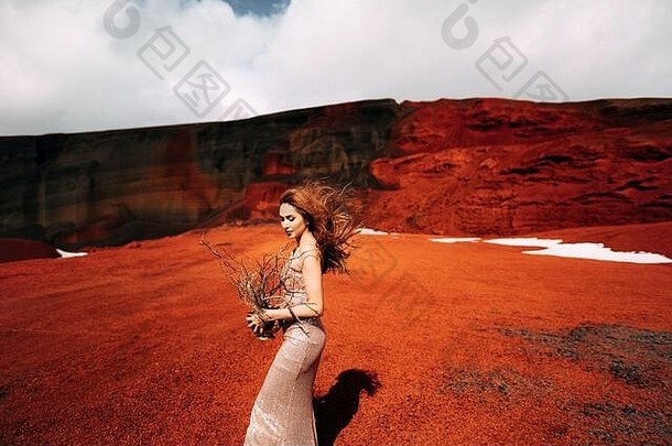 在冰岛的一座火山口的一个黄红色的采石场里，一个穿着金色婚纱的新娘模特的肖像，金色的圆圈