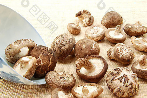香菇蘑菇真实的中国人蘑菇
