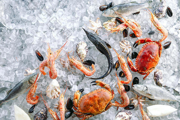 冰上海鲜。螃蟹，鲟鱼，贝类，虾，拉帕纳，多拉多，白冰。