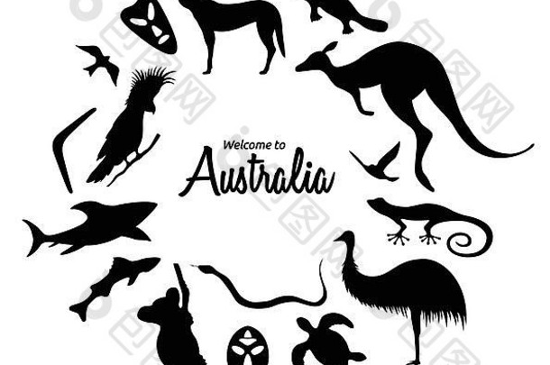 集澳大利亚动物轮廓自然澳大利亚孤立的白色背景黑色的轮廓袋鼠面具鲨鱼回飞棒