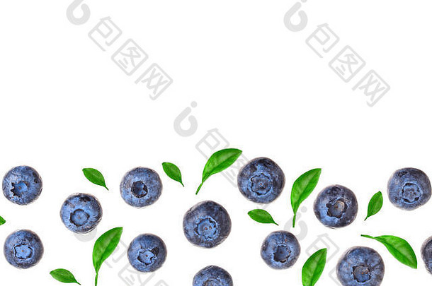 新鲜的成熟的蓝莓孤立的白色背景复制空间文本前视图平躺模式