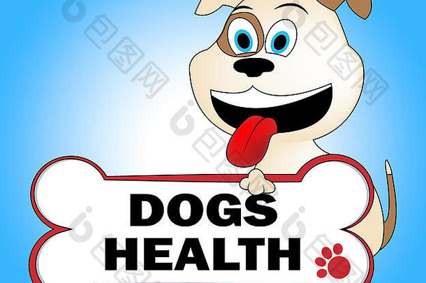 狗健康代表犬类小狗