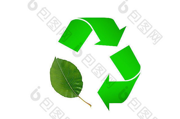回收象征绿色叶子白色