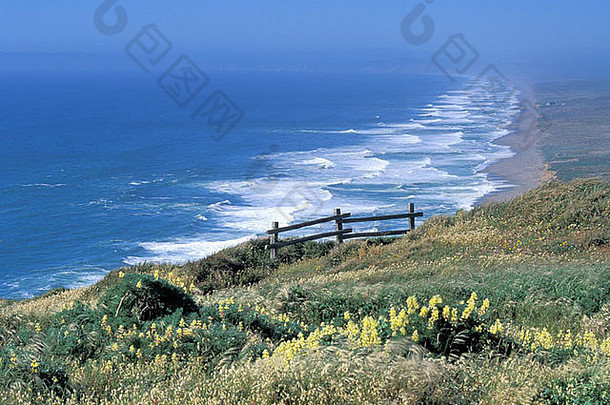 英里海滩点雷耶斯国家海滨加州太平洋海洋显示波蓝色的天空