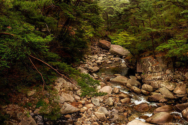 <strong>韩国</strong>釜山河流和树木全景景观