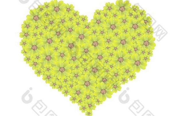 爱概念插图黄色的亚罗花蓍属毫叶草花形成心形状